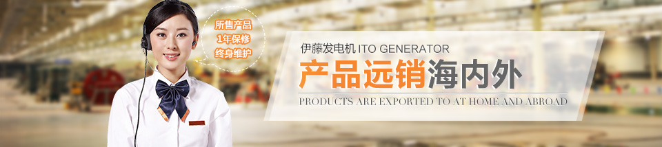 發電機技術咨詢